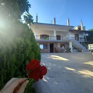  Casa vacanze Pasha Albania
